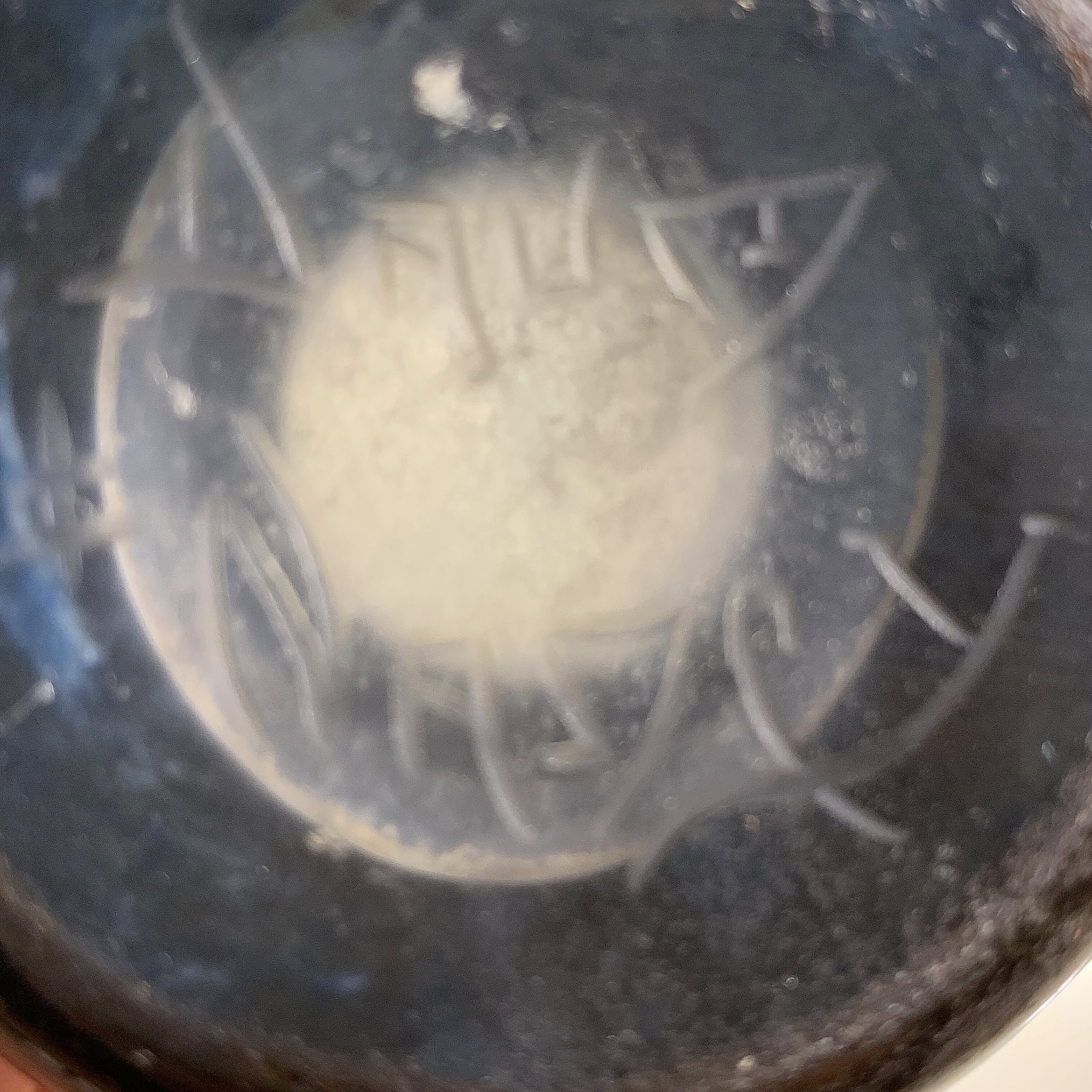 Daum Nancy "Snow Drop" Cameo Glass Vase - Image 4