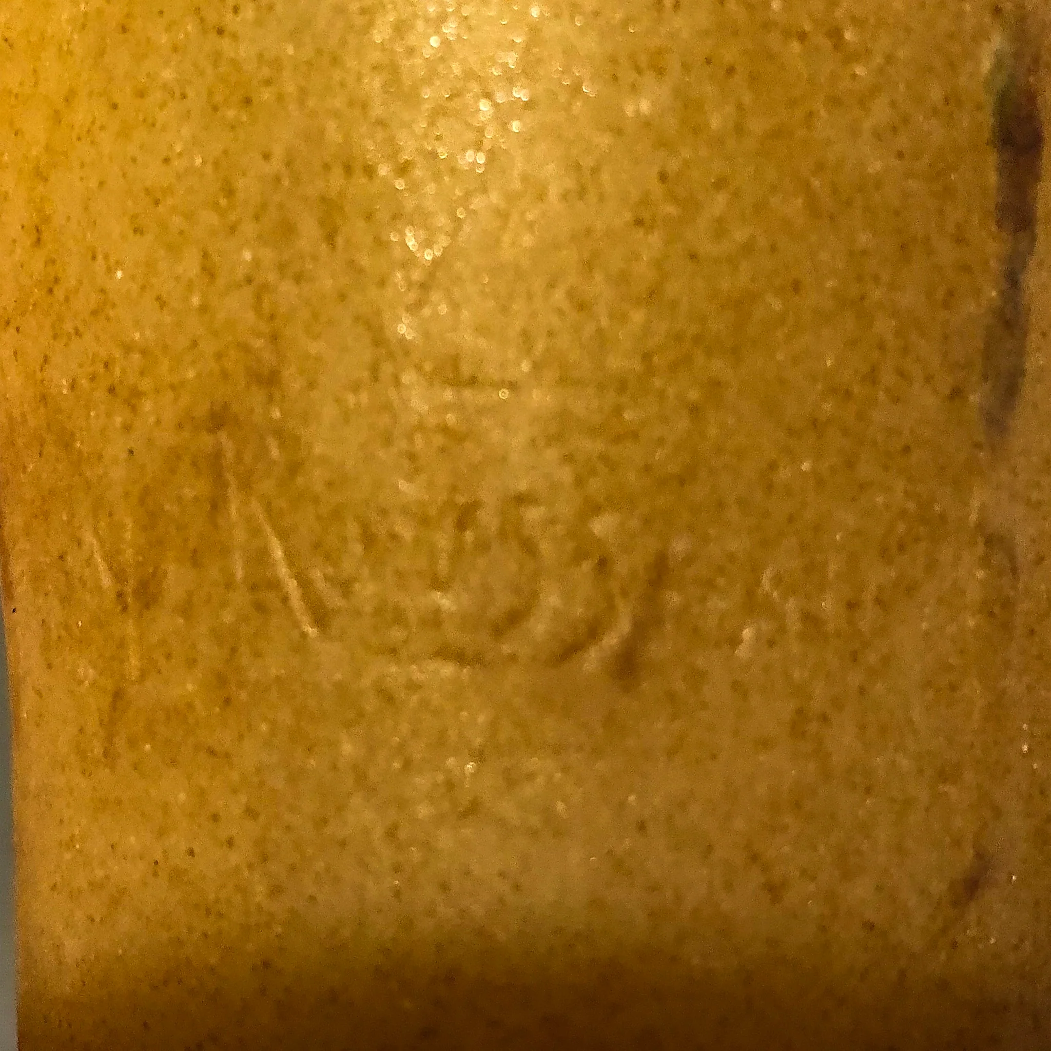 Gabriel Argy-Rousseau "Lyciet de Barbarie" Pâte de Verre Glass Vase - Image 4