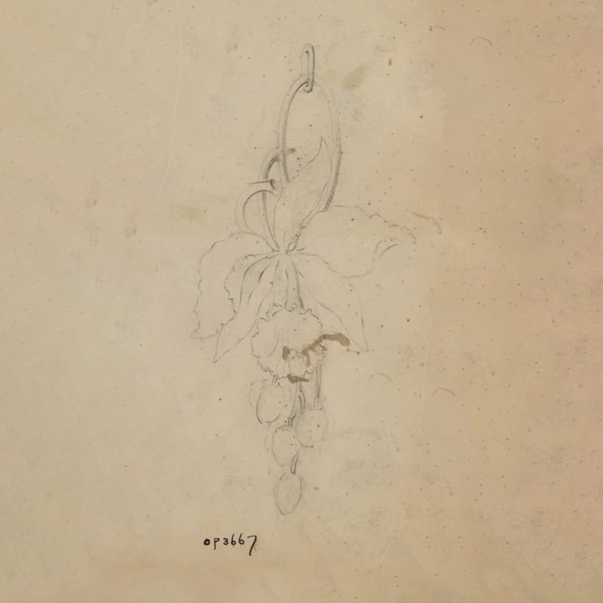 Marcus & Co. Art Nouveau Enamel Orchid Pendant - Image 7